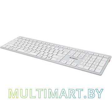 Клавиатура A4Tech Fstyler FBX50C (серебристый/белый) картинка 7